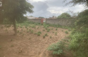 SOMONE : Beau terrain à vendre de 1547 m2