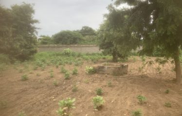 SOMONE : Beau terrain à vendre de 1547 m2