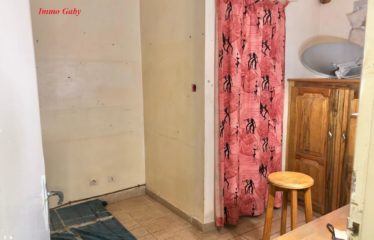 SALY : Immeuble à vendre 7 appartements + 1 local