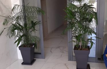 DAKAR POINT E : Immeuble R+5 de standing à vendre