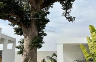 NGUERIGNE : Villa récente à vendre contemporaine