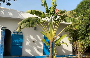 WARANG : Campement à vendre avec sa maison privative et restaurant