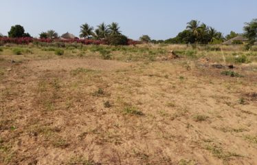 NGUERIGNE : Terrain de 5 000 m2 à vendre