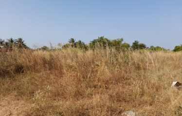 NGUERIGNE : Terrain de 5 000 m2 à vendre