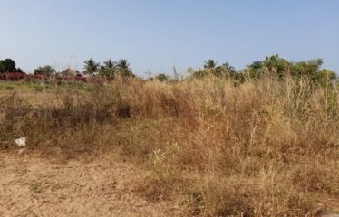 NGUERIGNE : Terrain de 5 000 m2 à vendre