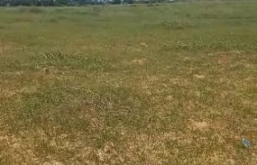 DAKAR NIAGA : Terrain à vendre 150 m2