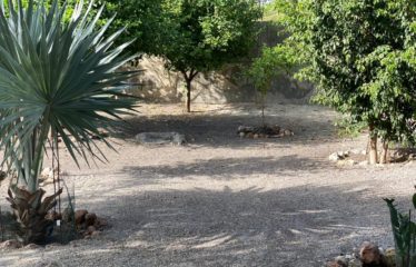 MBODIENE : Charmante villa à vendre de 3 chambres proche de la mer