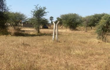 NDANGANE : Terrain de 400 m2 constructible à vendre