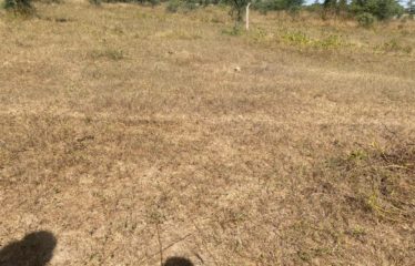 NDANGANE : Terrain de 400 m2 constructible à vendre