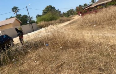 NDANGANE : Terrain de 828 m2 constructible à vendre