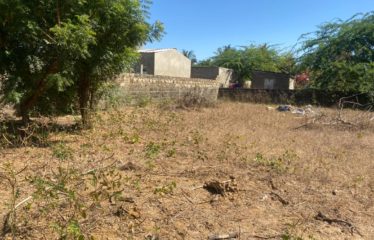 NDANGANE : Terrain de 505 m2 constructible à vendre