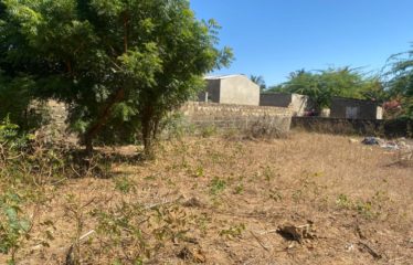 NDANGANE : Terrain de 505 m2 constructible à vendre