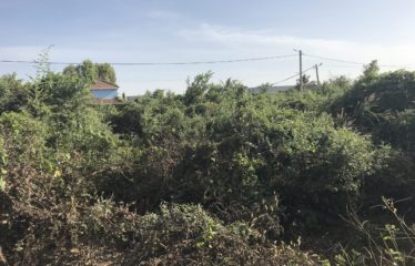 SALY : Terrain de 500 m2 à vendre situé à proximité du centre Diambar.