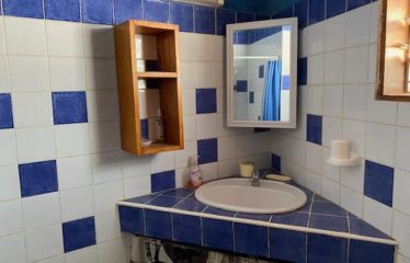 SOMONE : Propriété à vendre de 2 villas piscine et verger