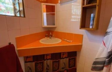 SOMONE : Propriété à vendre de 2 villas piscine et verger