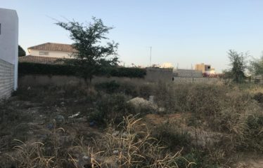 SALY : Terrain à vendre clôturé des 3 côtés 713 m2