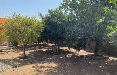 SOMONE : Propriété à vendre de 2 villas piscine et verger