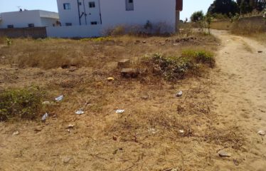 NGUEKHOKH : Terrain de 540 m2 à vendre