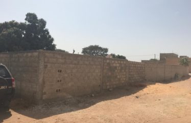 NGUERIGNE : Terrain de 1200m2 clôturé à vendre