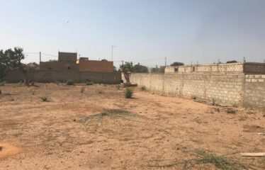 NGUERIGNE : Terrain de 1200m2 clôturé à vendre