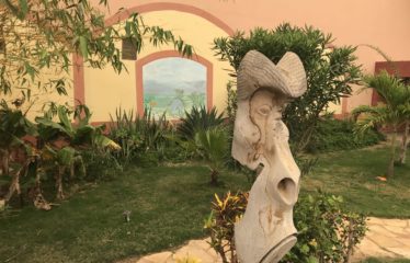 SALY : Belle propriété de 7 chambres à vendre