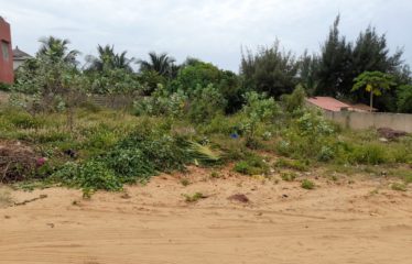 NGAPAROU : Splendide terrain à vendre de 693 m2 en bord de plage