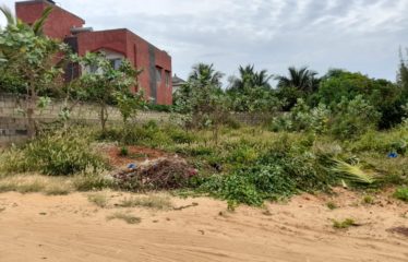 NGAPAROU : Splendide terrain à vendre de 693 m2 en bord de plage