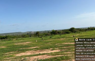 NDAYANE : 50 parcelles à vendre