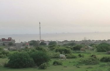 NDAYANE : 50 parcelles à vendre