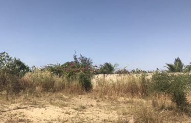 MBALING : Beau terrain de 2700m2 à vendre clôturé et paysagé