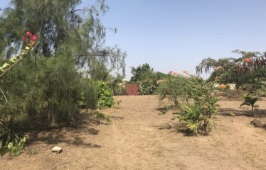 MBALING : Beau terrain de 2700m2 à vendre clôturé et paysagé