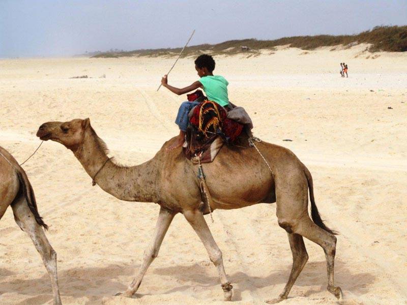 ballade en chameau dans les dunes du lac rose