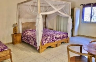 SALY : Villa à vendre composée d’appartements