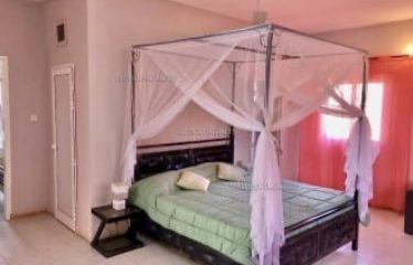 SALY : Villa à vendre composée d’appartements