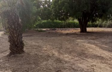 WARANG : Terrain à vendre de 800 m2 proche de la lagune