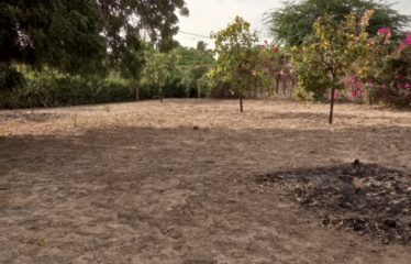 WARANG : Terrain à vendre de 800 m2 proche de la lagune