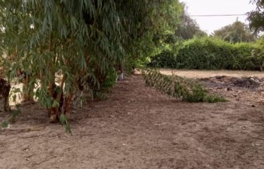 WARANG : Terrain à vendre de 800 m2 proche de la lagune