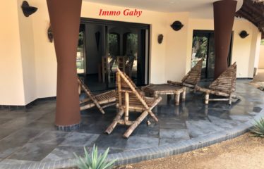 NGUERIGNE : Superbe villa à vendre de grand standing