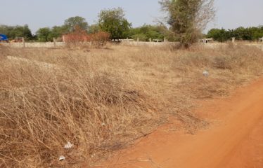NGAPAROU : Terrain de 317 m2 proche de la route