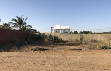 NGAPAROU : Terrain 300 m2 à vendre