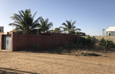 NGAPAROU : Terrain 300 m2 à vendre