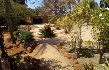 NIANING : Villa d’architecte à vendre de 300 m2