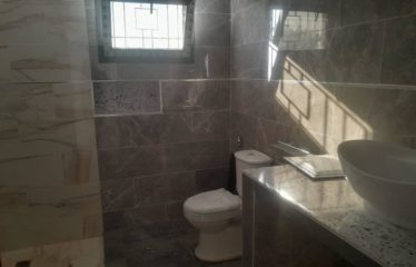 SALY : Maison à vendre 4 pièces avec piscine