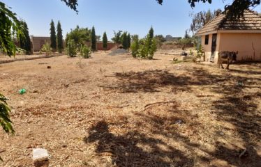 NGUERIGNE : Terrain à vendre de 714 m2