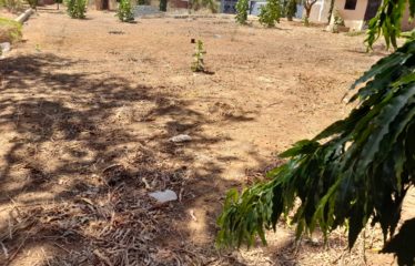 NGUERIGNE : Terrain à vendre de 714 m2