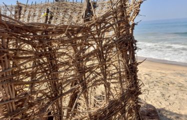 SOMONE : Terrain à vendre de 771 m2 pieds dans l’eau