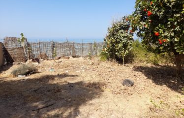 SOMONE : Terrain à vendre de 771 m2 pieds dans l’eau