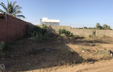 NGAPAROU : Terrain 300 m2 à vendre