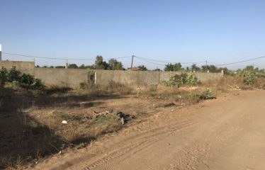 NGAPAROU : Terrain 300 m2 à vendre