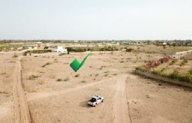 NGUERIGNE : Terrain de 2 000 m2 à vendre